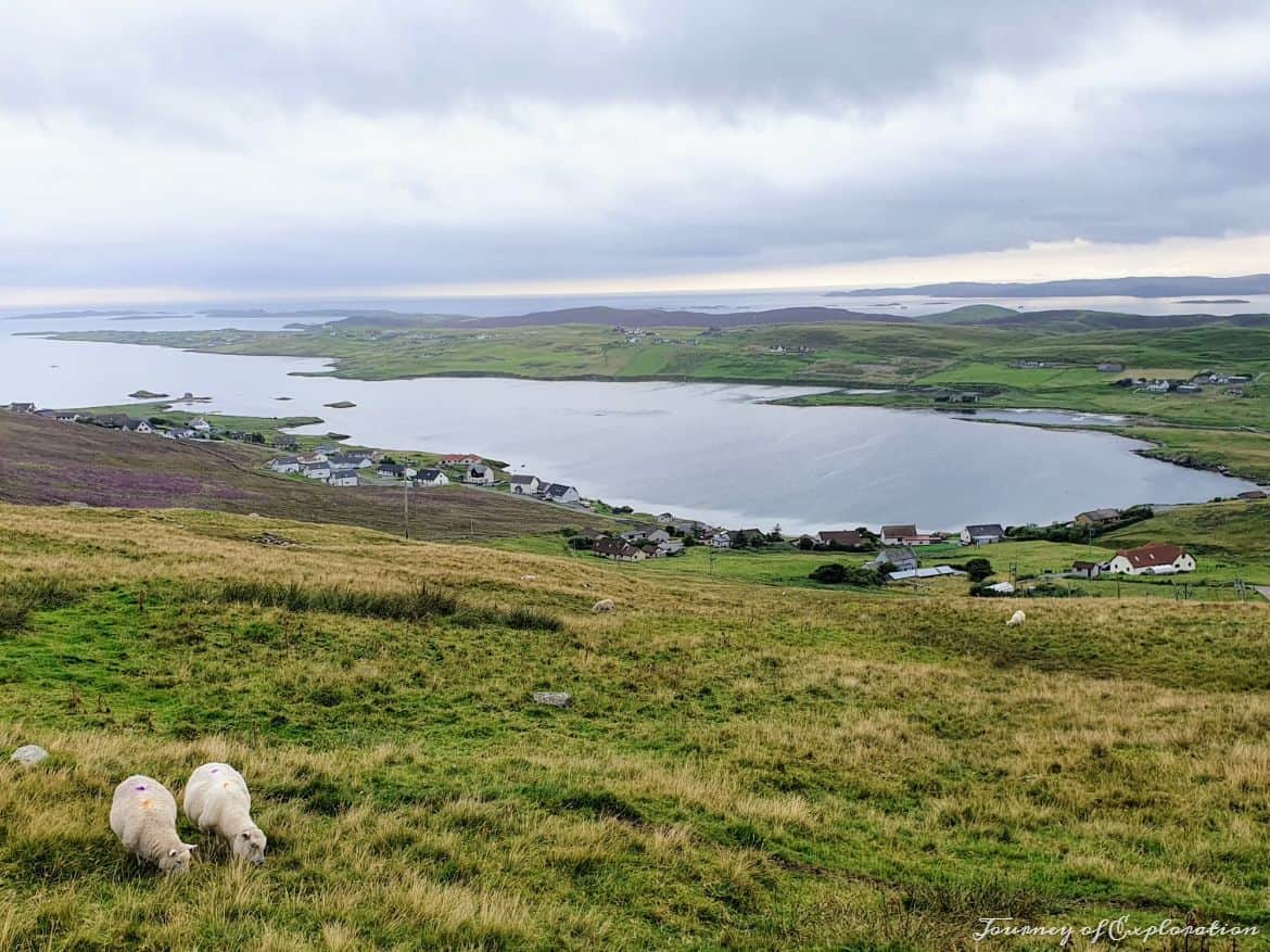 View point over Whiteness, Shetland