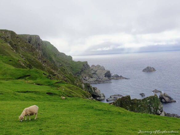 Hermaness National Nature Reserve, Unst, Shetland