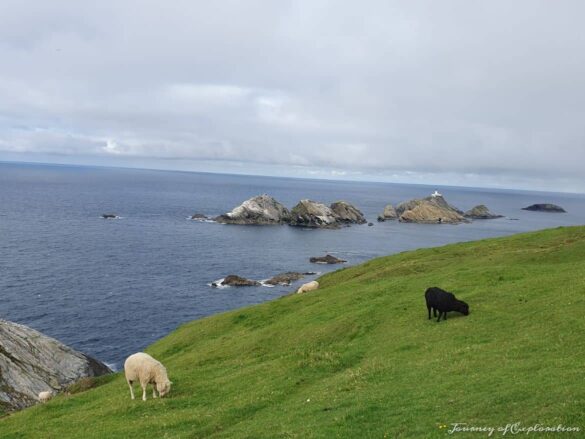 View of Muckle Flugga, Hermaness Nature Reserve, Unst, Shetland